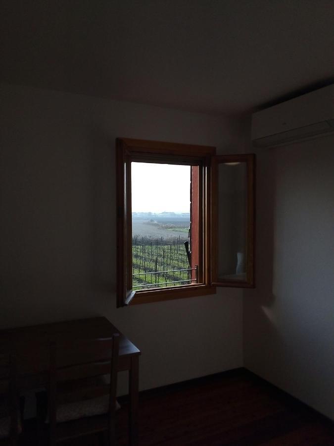 CorteZecchina Piove di Sacco Esterno foto